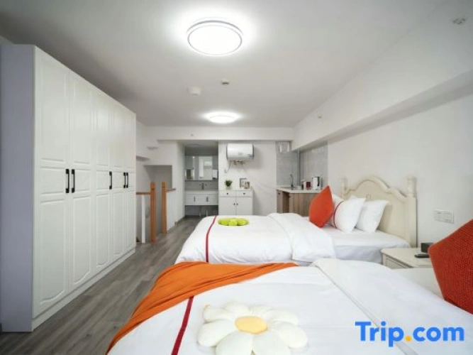 Standard Twin room with city view