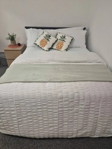 Spacious Large 4BR Home Train Station University