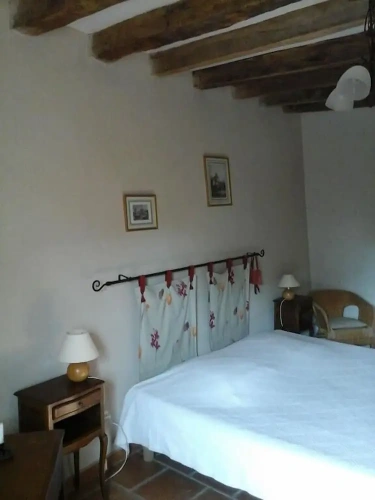 Standard Double room with garden view