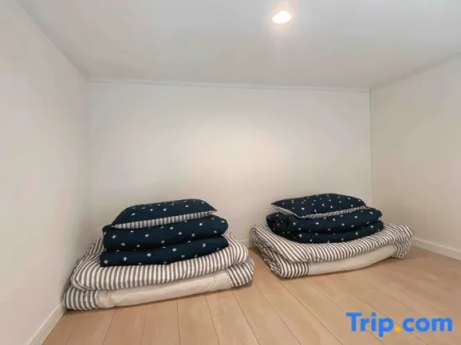 Double Apartment