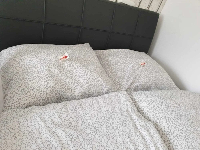 Cozy Apartment near Cologne & Aachen