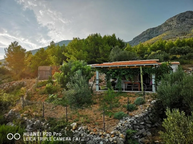 1 Bedroom Chalet