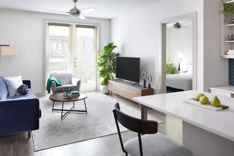 1 Bedroom Apartment