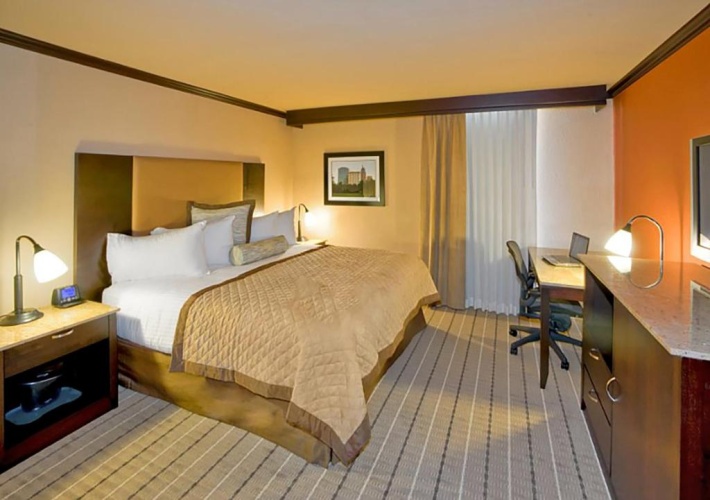 Standard Double room