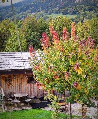 Gîte La Patte Nordic Chalet