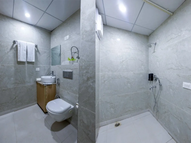 Deluxe Double room with balcony and with city view