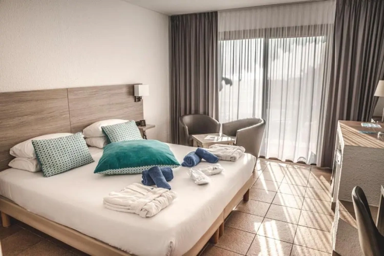 Standard Double room with garden view