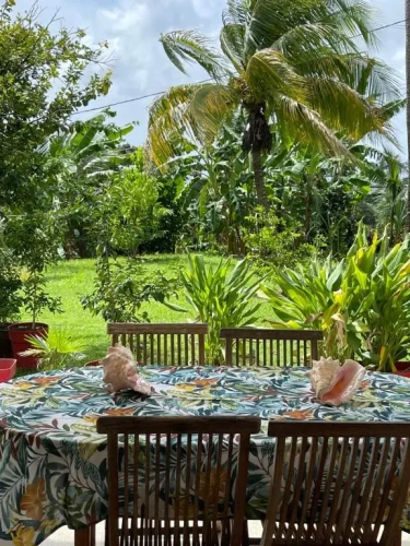 Standard Double room with garden view
