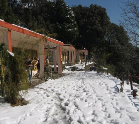 Outside