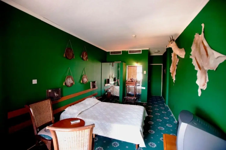Deluxe room with balcony and with view