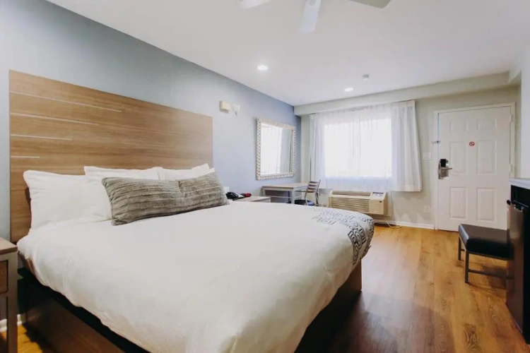Standard Quadruple room with view