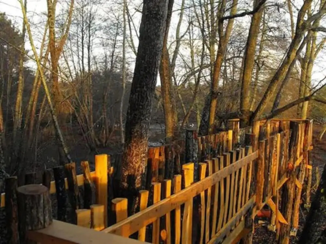 Cabane des cerfs