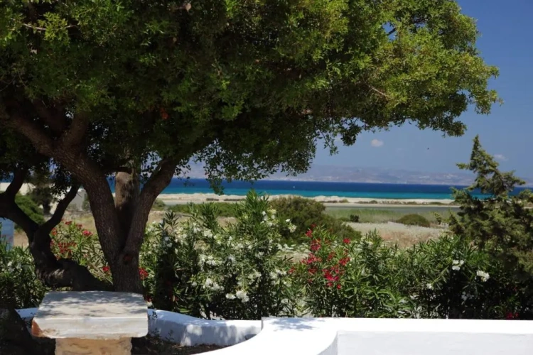 2 Bedrooms Apartment with sea view