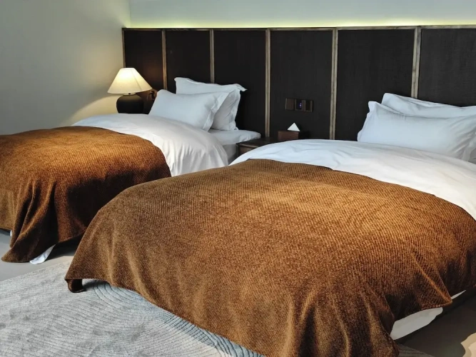 Deluxe Twin room with balcony and with mountain view