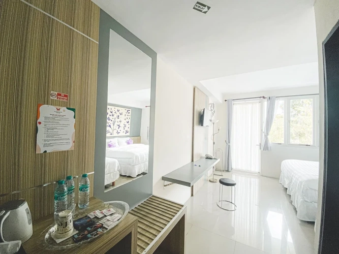 Deluxe Double room with balcony and with garden view