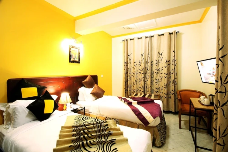 Deluxe Twin room
