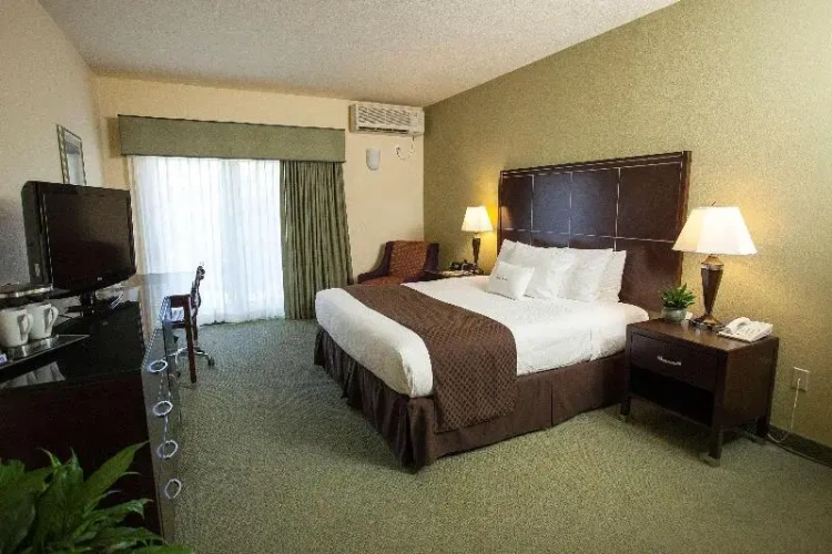 Standard Double room with land view