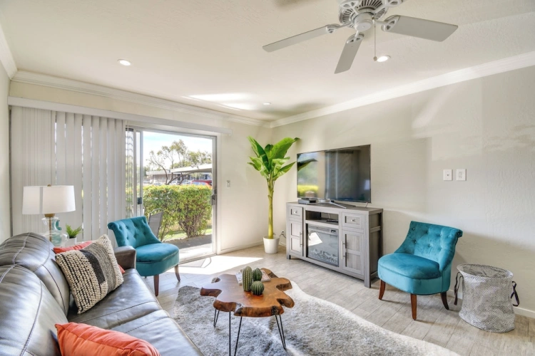 1 Bedroom Apartment