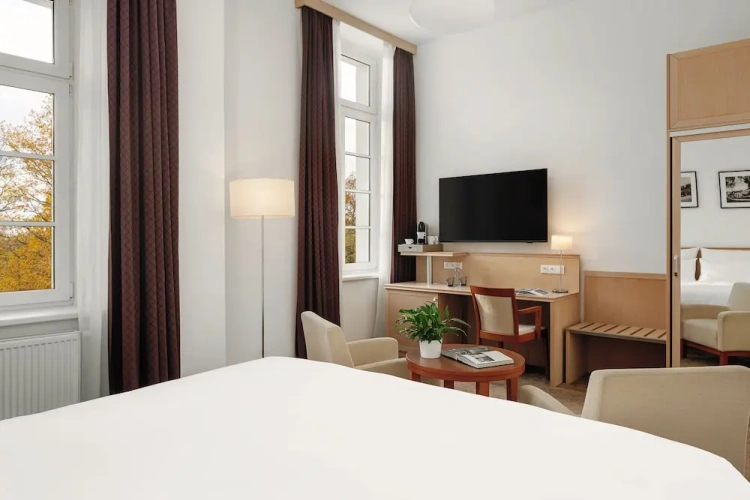 Deluxe Double room with park view