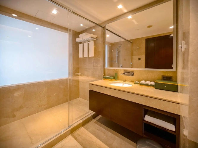 Premium Twin room with city view
