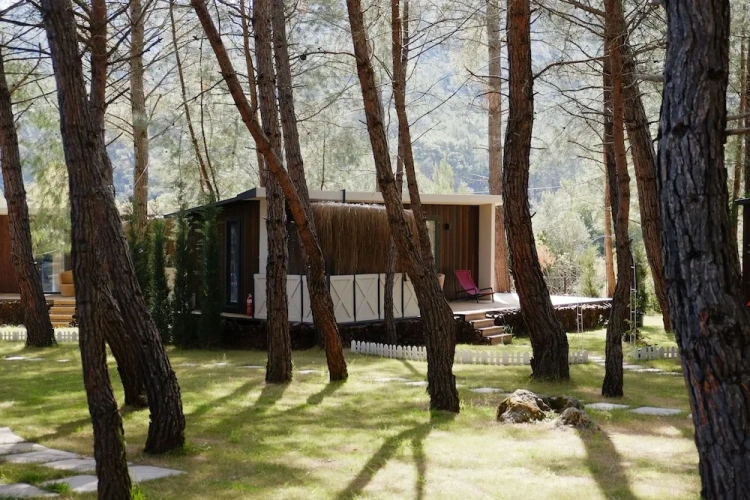 Luxury room