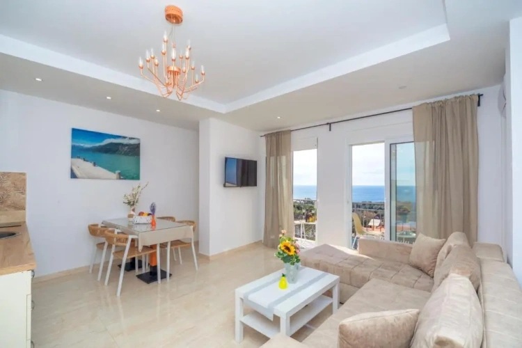 1 Bedroom Apartment