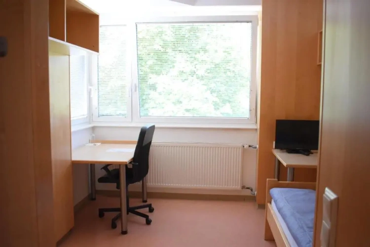 Standard Single room with view