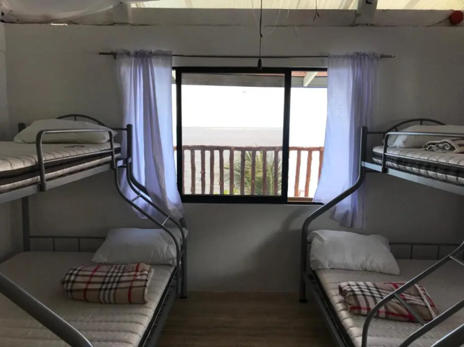 Hostel Lions