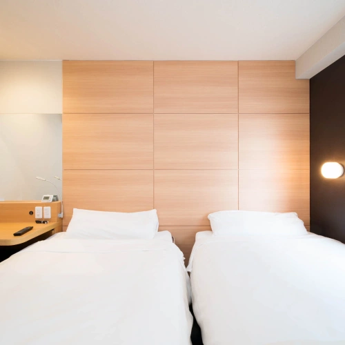 Standard Non-smoking Twin room