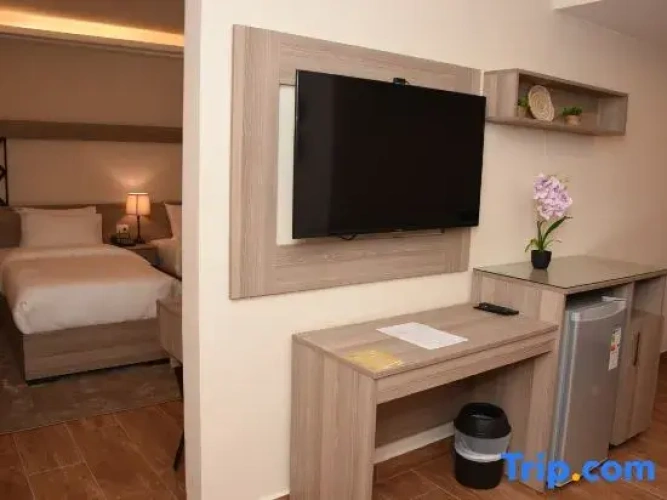1 Bedroom Suite