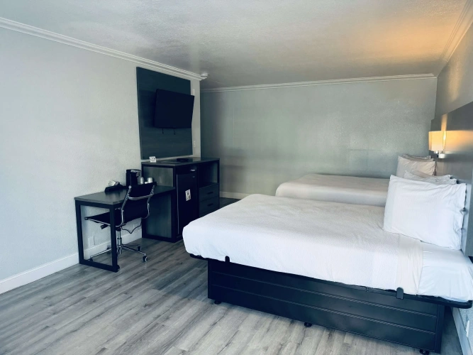 Quadruple Suite