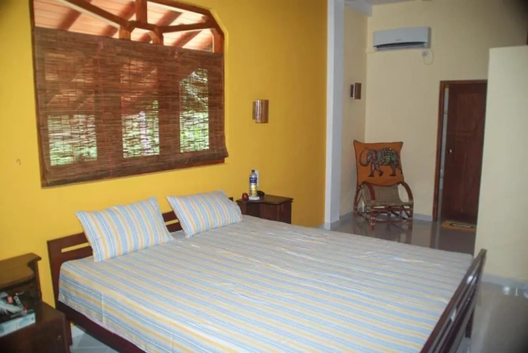 Deluxe Double Suite with view