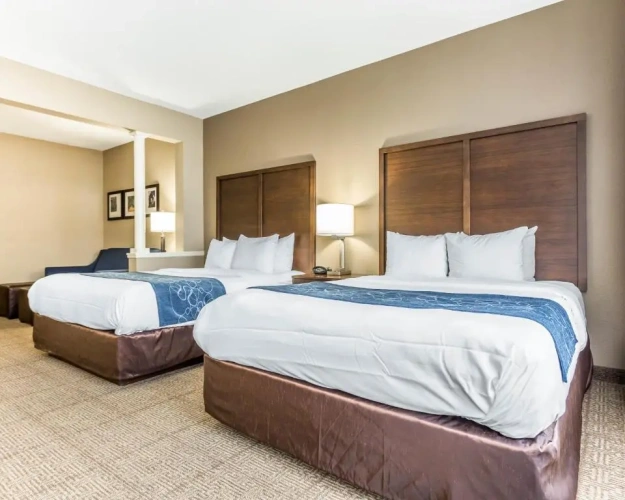 Standard Quadruple Suite