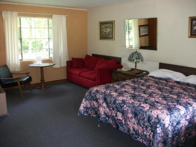 Standard room with river view