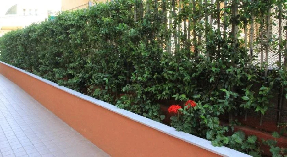 Salva Gente - bed and breakfast
