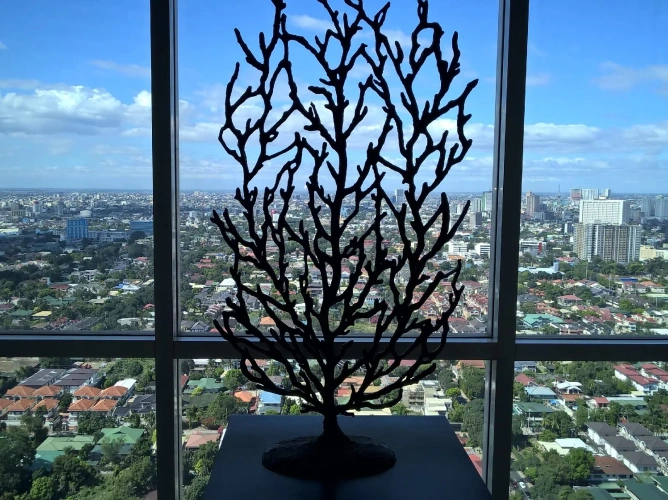 Deluxe Studio with view