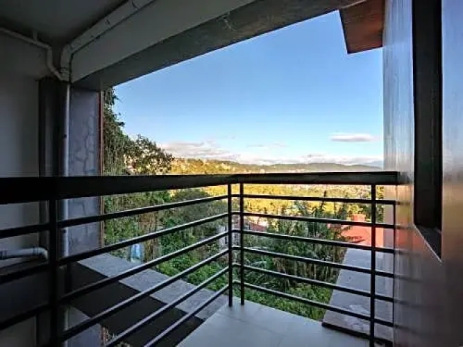 Deluxe Double room with garden view