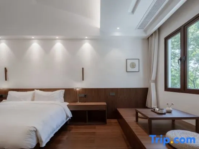 Comfort Suite