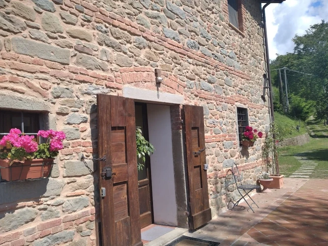 Standard room with garden view