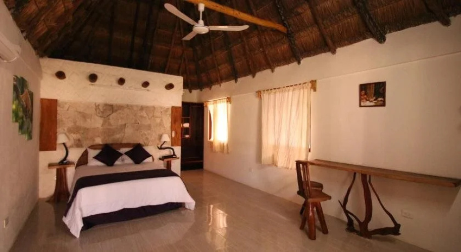 Casa Nativa
