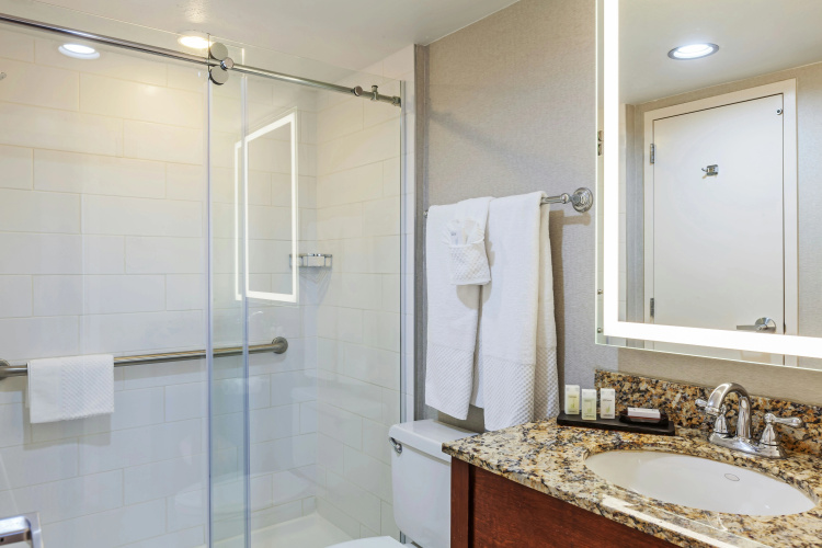 Embassy Suites by Hilton Dallas Market Center photo 9