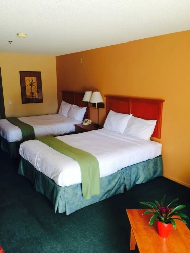 Deluxe room with pool view
