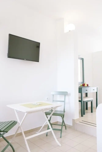 Standard Studio with balcony and with courtyard view