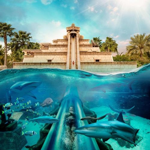 Palm Beachfront Estate Sunset Atlantis views