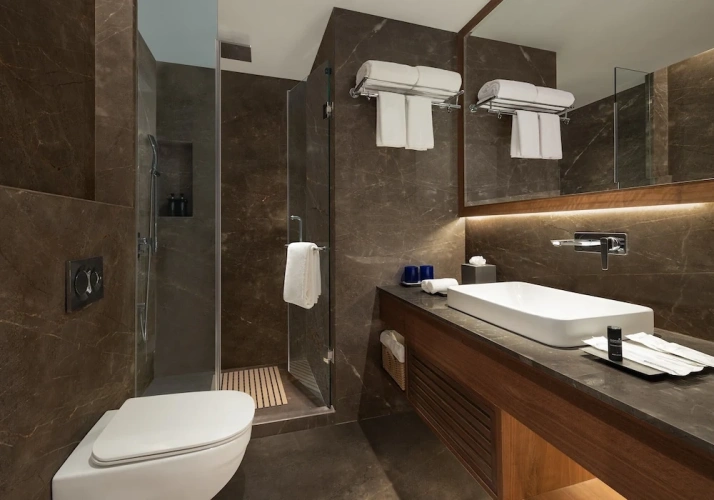 Deluxe Single room