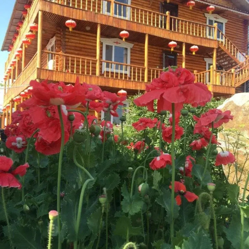 Russia Camp Resort