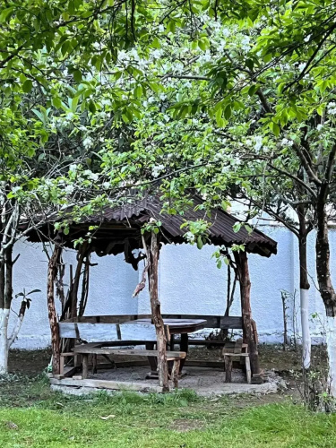 Gonio Sea Side