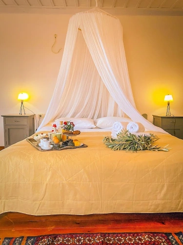 Comfort Suite
