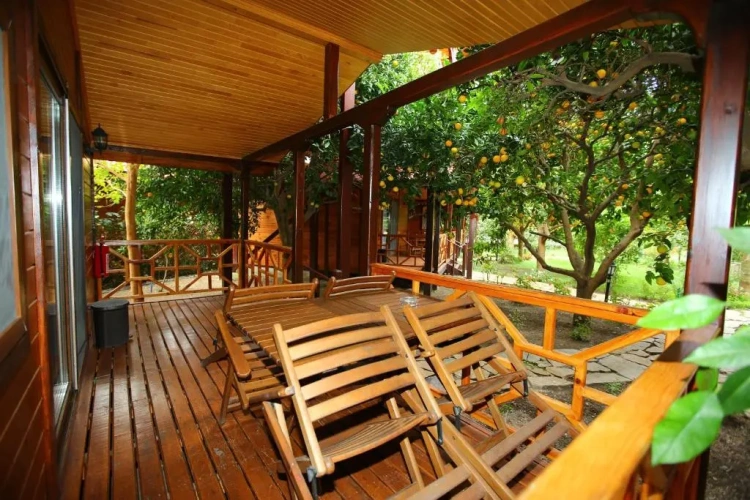 Standard Villa with balcony and with view