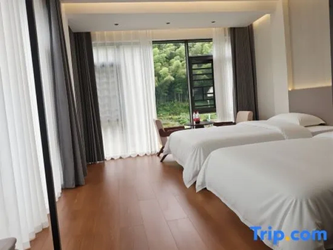 Standard room with view
